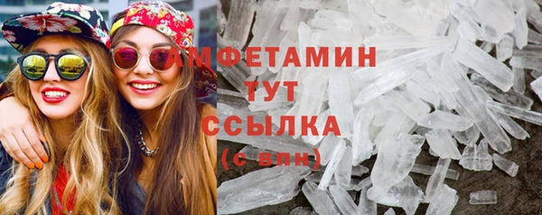 мет Алексин