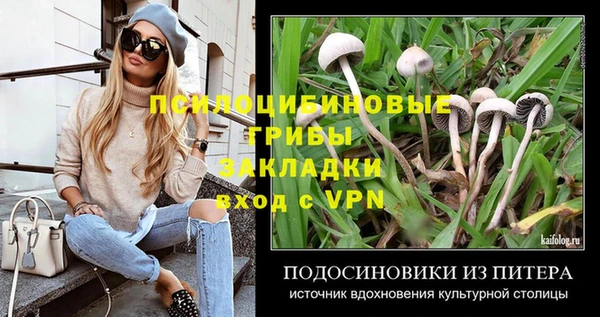 стафф Алексеевка