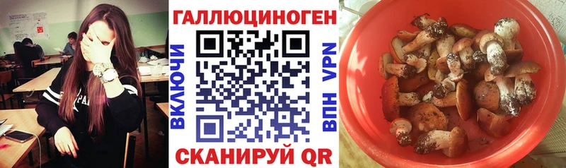 Псилоцибиновые грибы MAGIC MUSHROOMS  ОМГ ОМГ ТОР  Юрьевец 